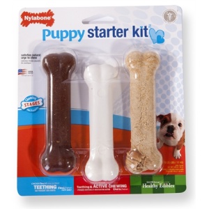 Nylabone puppy chew puppy starter kit