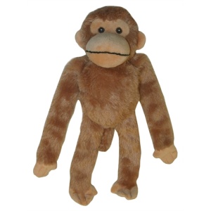 Multipet swinger chimpansee