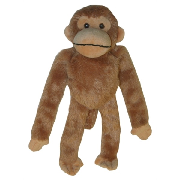 Multipet swinger chimpansee