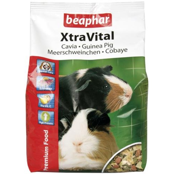 Xtravital cavia