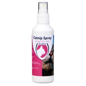 Catnip spray