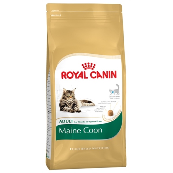 Royal canin maine coon