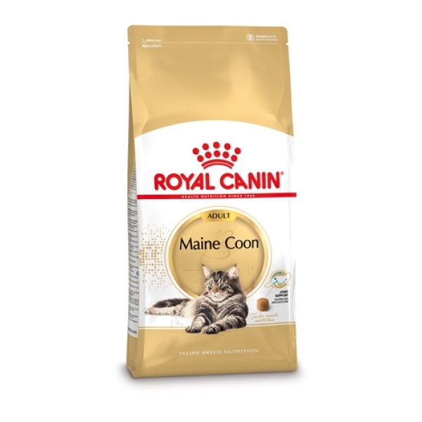 Royal canin maine coon