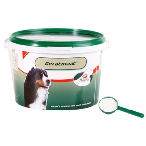 Primeval gelatinaat hond