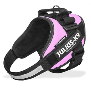 Julius k9 power-harnas/tuig voor labels roze