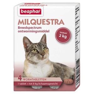 Beaphar milquestra kat