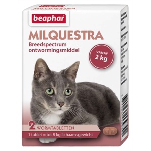 Beaphar milquestra kat