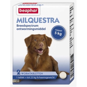 Beaphar milquestra hond