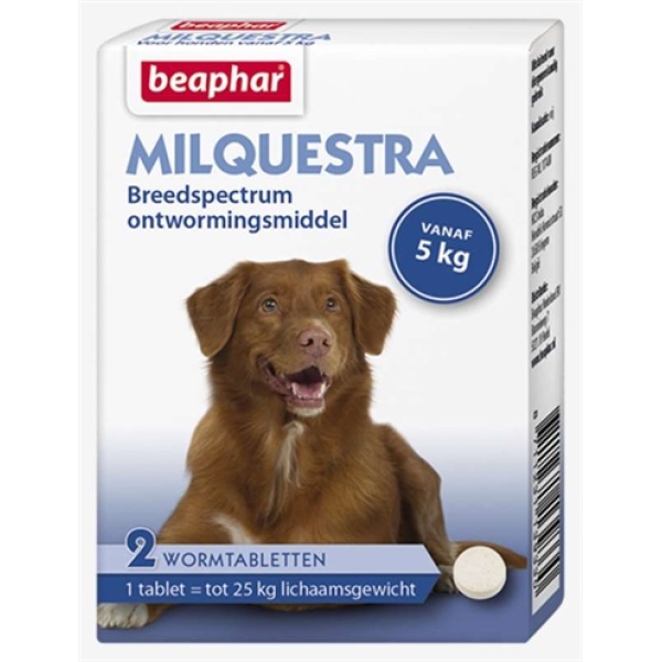 Beaphar milquestra hond