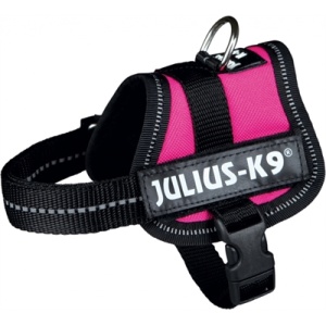 Julius k9 power-harnas / tuig voor labels fuchsia