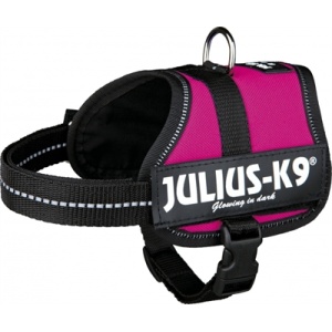 Julius k9 power-harnas / tuig voor labels fuchsia