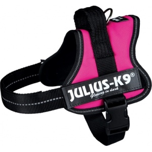 Julius k9 power-harnas / tuig voor labels fuchsia