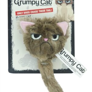 Grumpy cat fluffy grumpy cat met catnip