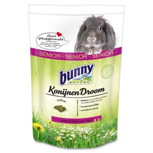 Bunny nature konijnendroom senior