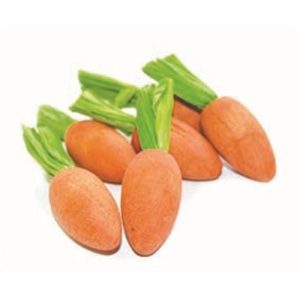 Happy pet carrot nibblers knaaghout