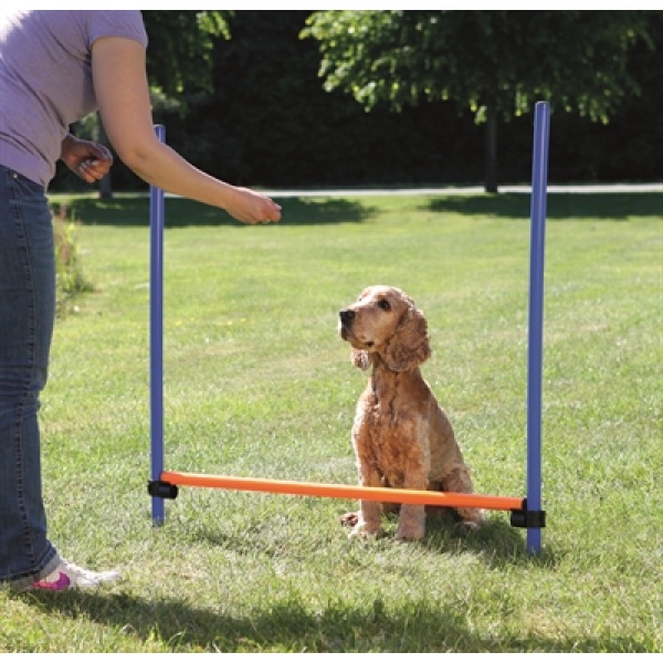 Trixie dog activity agility horde blauw / oranje