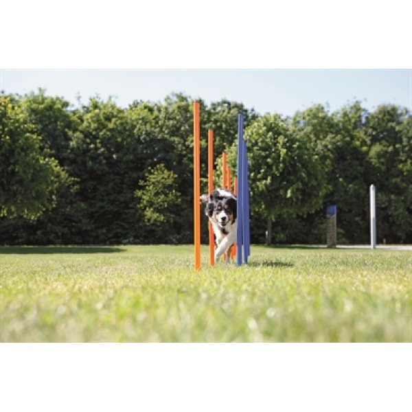 Trixie dog activity agility slalom stokken blauw / oranje