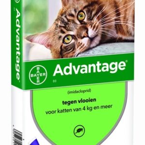 Bayer advantage kat 4 pipetten