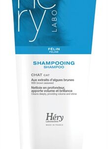 Hery shampoo kat