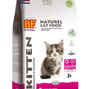 Biofood premium quality kat kitten pregnant / nursing