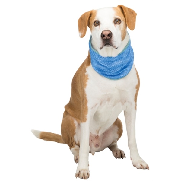 Trixie koel bandana pva blauw