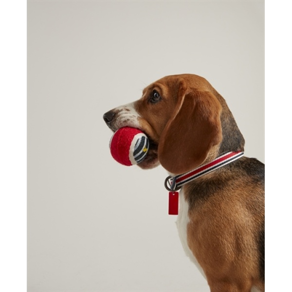 Joules outdoor ballen