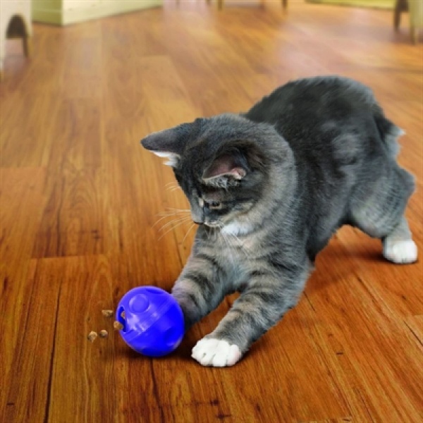 Kong cat treat dispensing ball