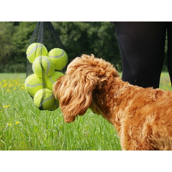 Rosewood jolly doggy tennisbal