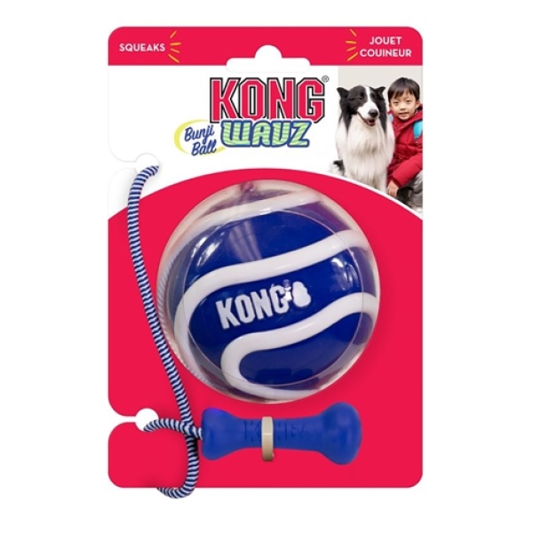 Kong wavz bunjiball assorti