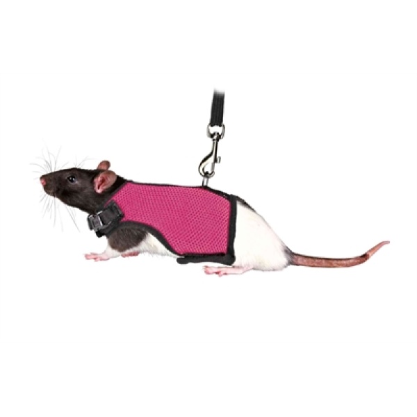 Trixie softtuig met riem voor ratten assorti