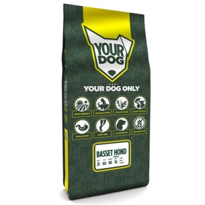 Yourdog basset hond senior