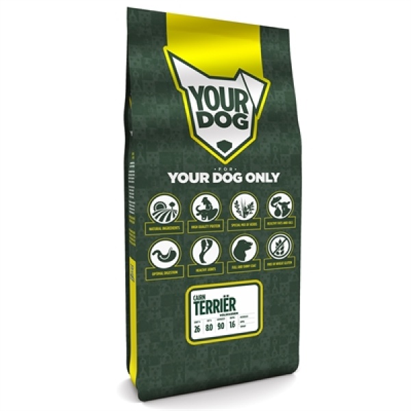 Yourdog cairn terriËr volwassen