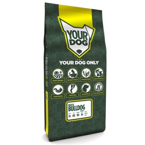 Yourdog engelse bulldog senior