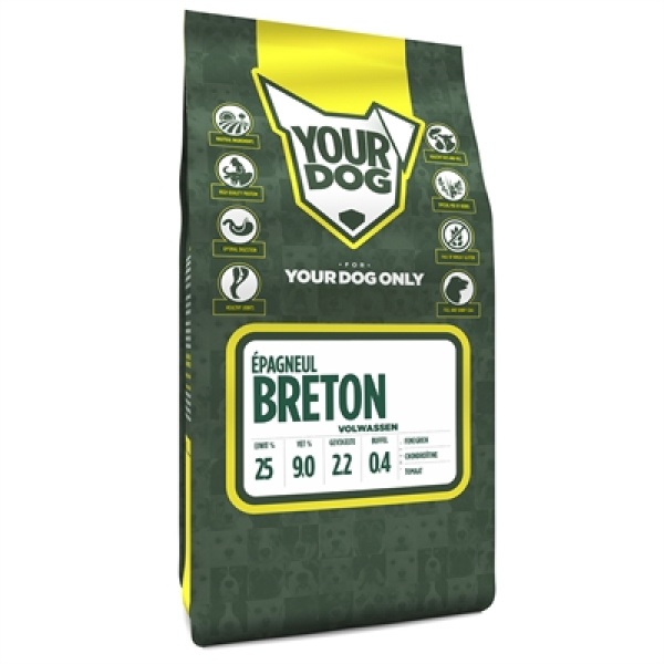 Yourdog epagneul breton volwassen