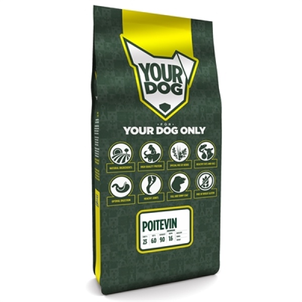 Yourdog poitevin senior