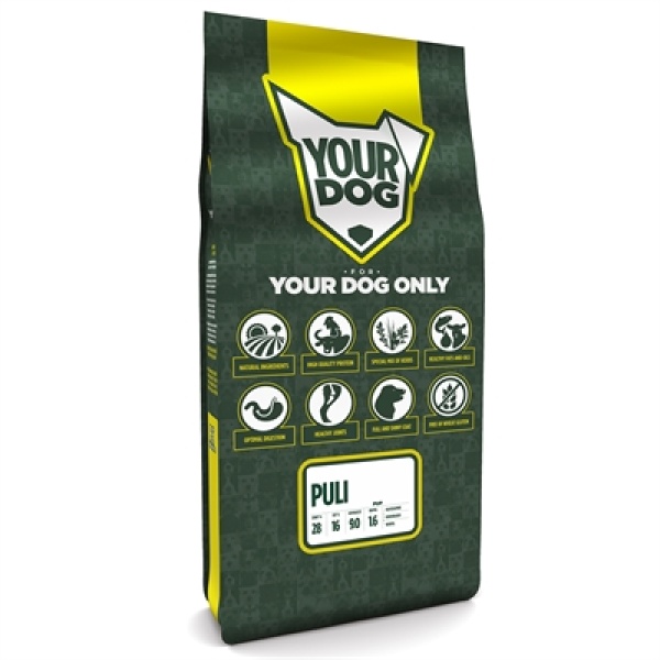 Yourdog puli pup