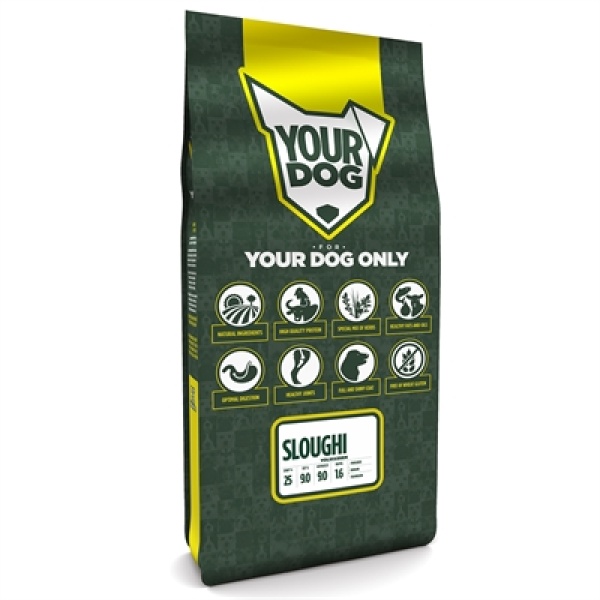 Yourdog sloughi volwassen