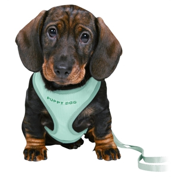 Trixie junior puppytuig soft met riem mintgroen