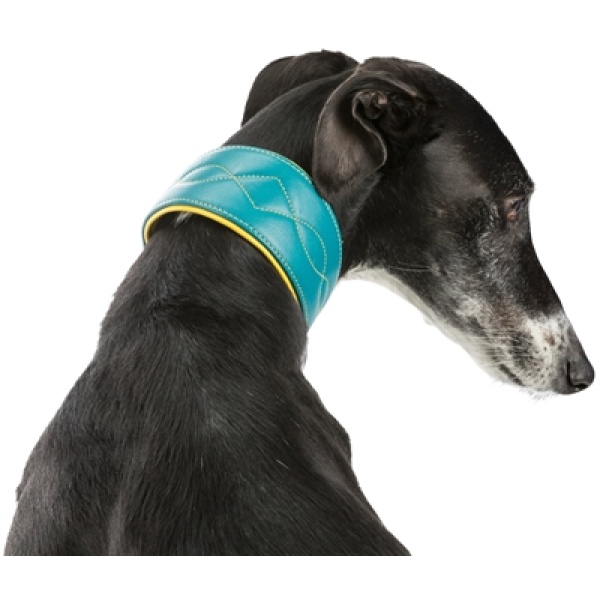 Trixie halsband hond active comfort voor windhonden leer petrol