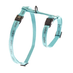 Martin sellier kattentuig frimousse turquoise