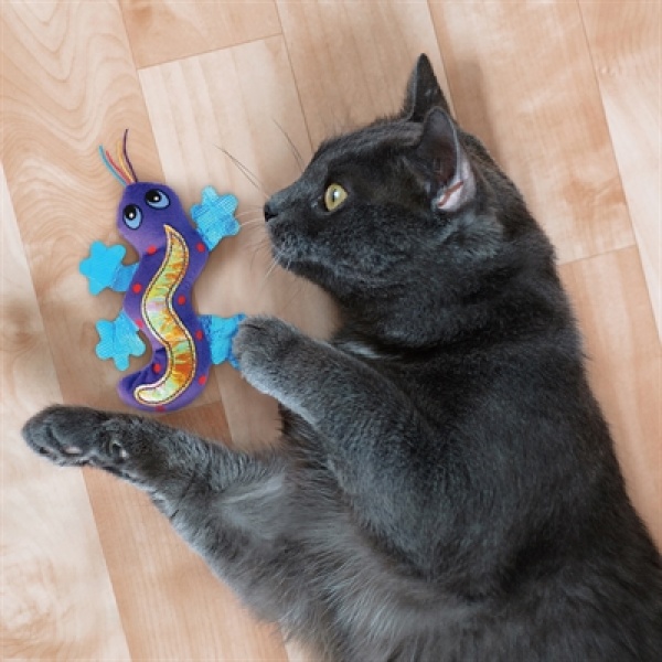 Kong better buzz gecko met catnip