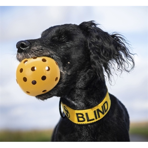 Trixie gatenbal natuurrubber met bel voor blinde of gehandicapte hond