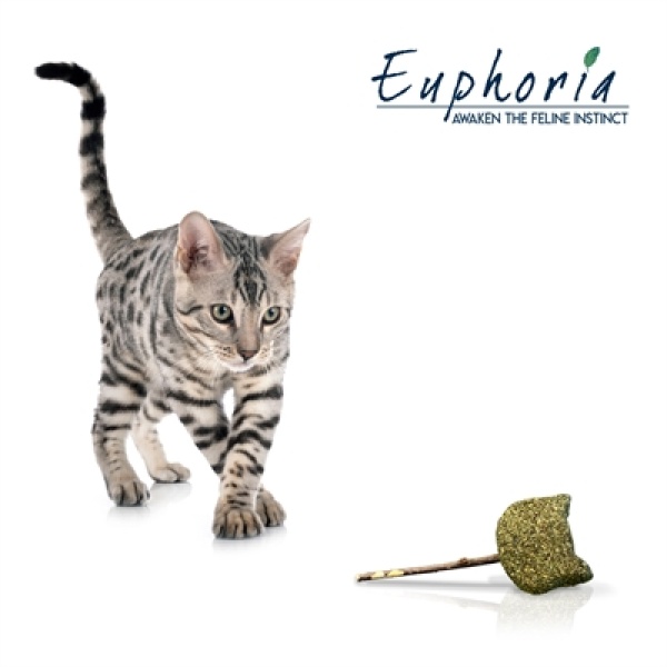 Croci euphoria stick catnip kattenkop