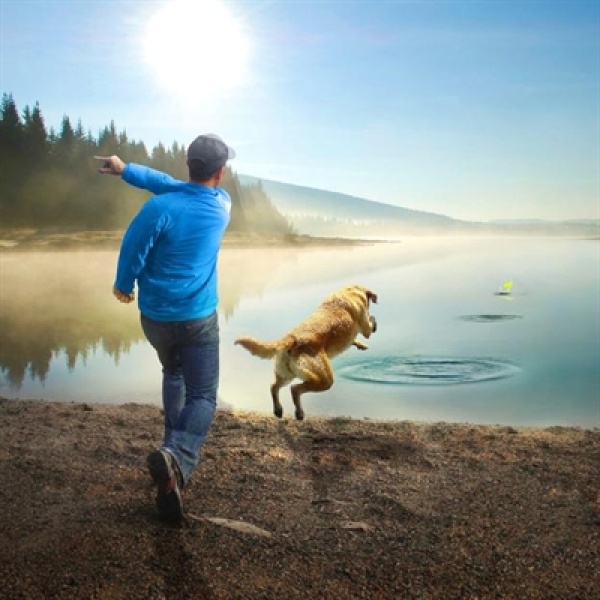 Kurgo skipping stones