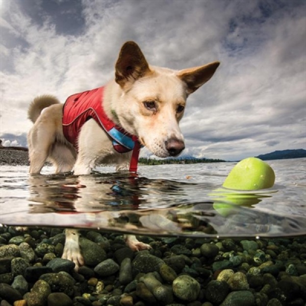 Kurgo skipping stones