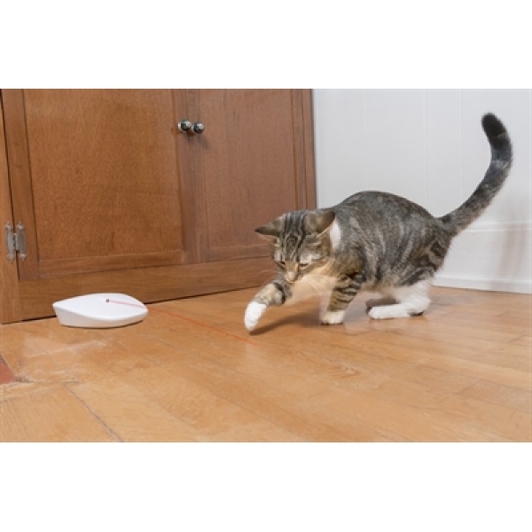 Petsafe laser tail