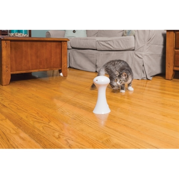 Petsafe multi-laser