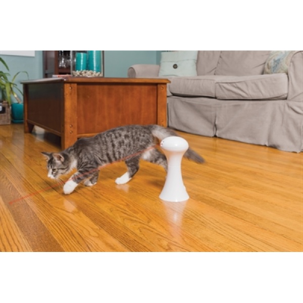 Petsafe multi-laser