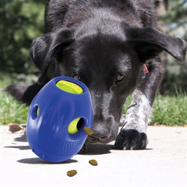 Kong tikr treat dispenser