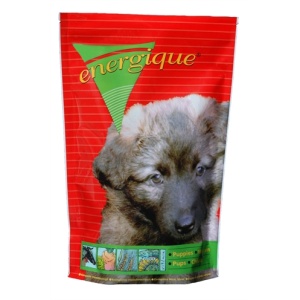 Energique nr 2 puppy